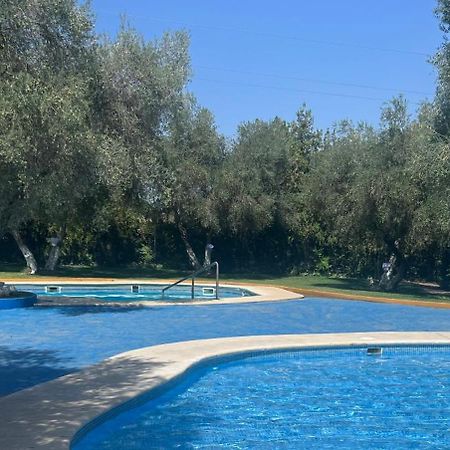 Apartamento A 8Km Sevilla Centro Valencina de la Concepción Exterior foto